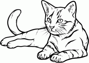 Como Desenhar Um Gato (Muito Fácil) - Aprender a Desenhar